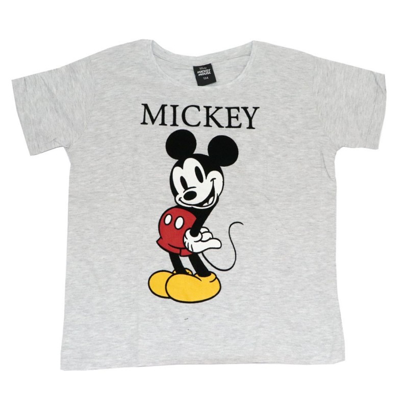 Disney Minnie Mouse Κοντομάνικο μπλουζάκι (DIS MFB 52 02 9509/9572 grey)